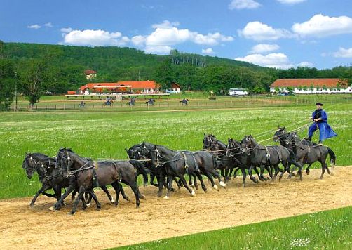 Экскурсия в гёдёллё