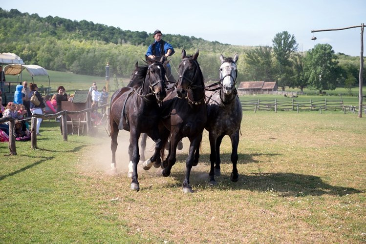 Венгерский хутор